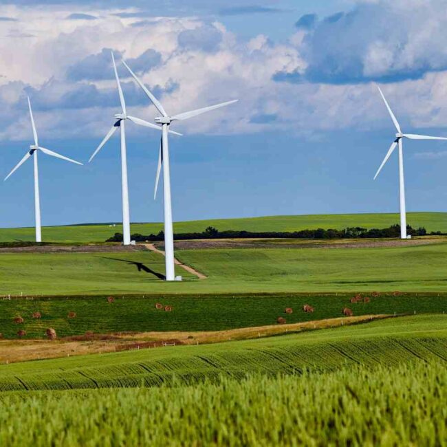 Farmy wiatrowe